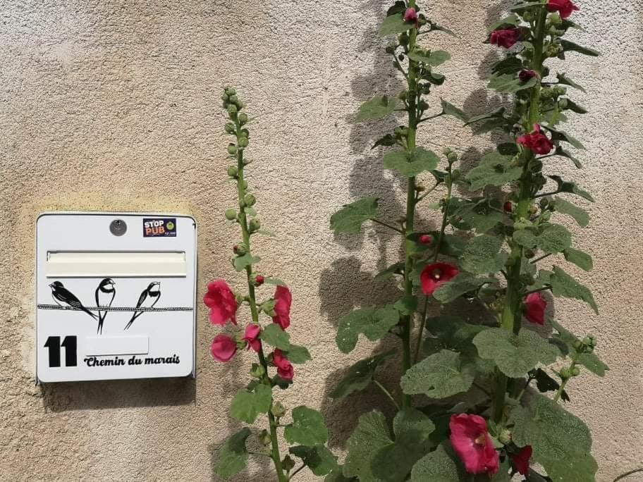 Apartment La Teranga Proche La Rochelle Nuaille-d'Aunis